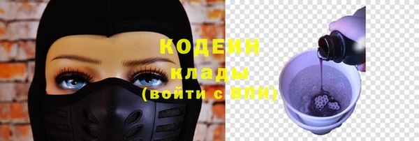 прущие грибы Заводоуковск