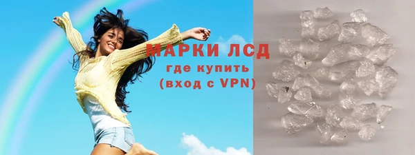 прущие грибы Заводоуковск