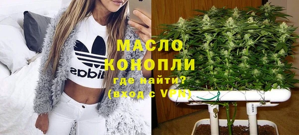 прущие грибы Заводоуковск