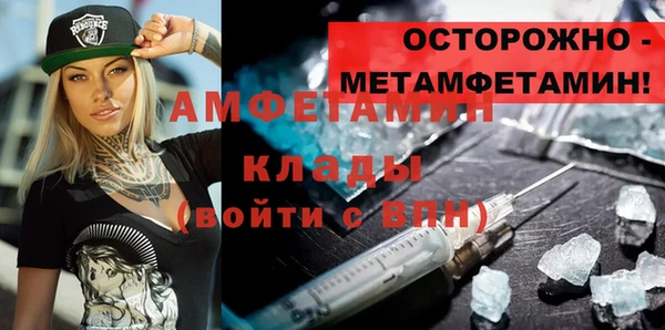 прущие грибы Заводоуковск