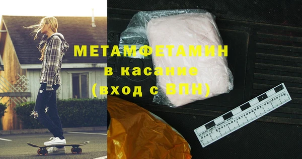 прущие грибы Заводоуковск