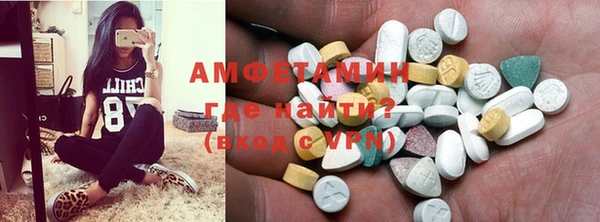 прущие грибы Заводоуковск