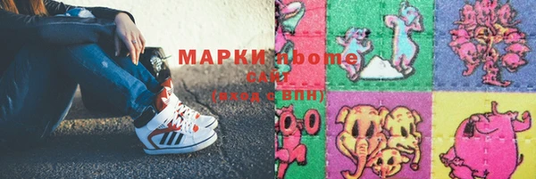 прущие грибы Заводоуковск