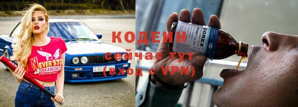 прущие грибы Заводоуковск